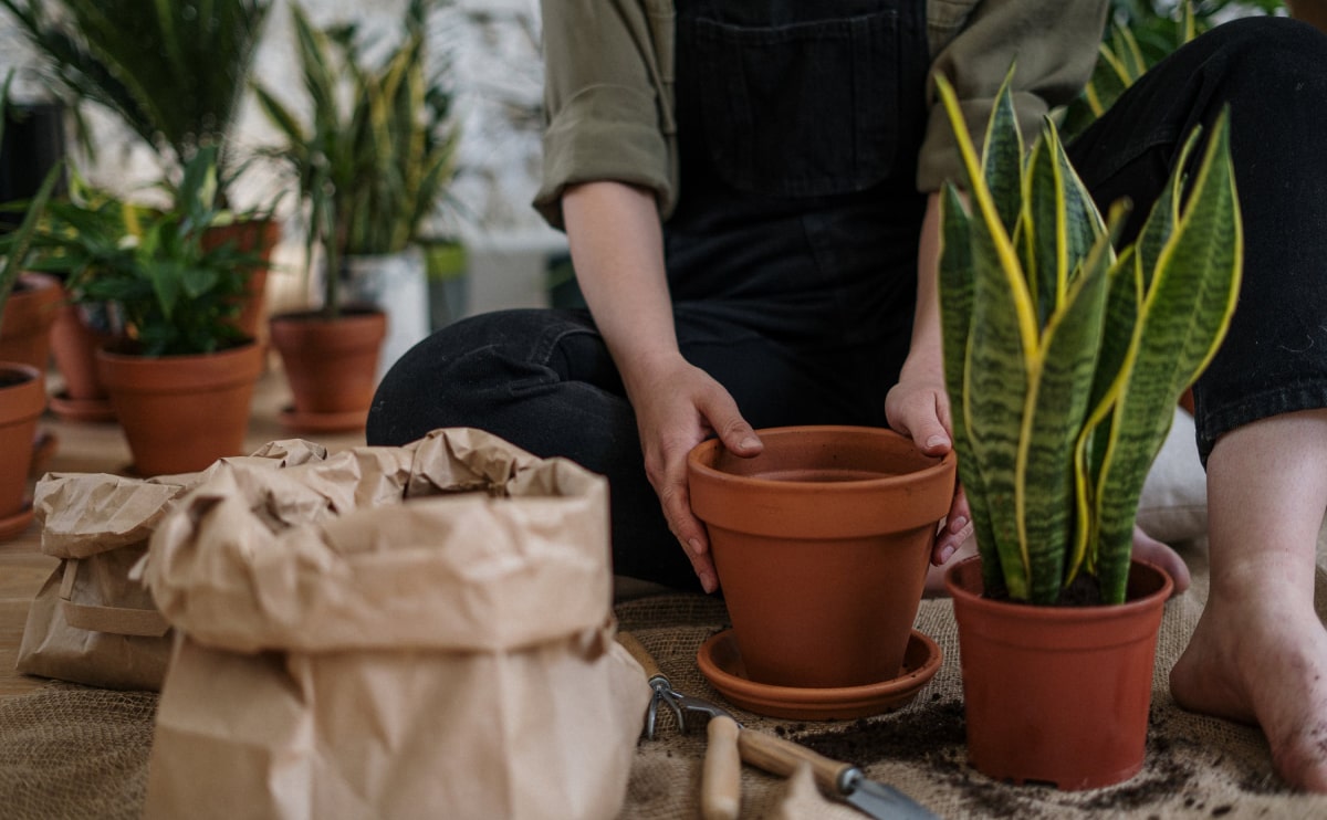 You are currently viewing Exploring Atlanta’s modern homes